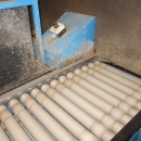 3659 EMVE potato grading line 