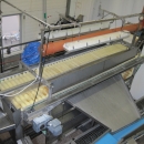 3662 Complete Potato Processing line