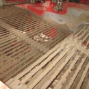 3862 Grimme SF150-60 UB XXL 2 Reihe Kartoffelroder mit Bunker