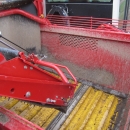 3862 Grimme SF150-60 UB XXL 2 Reihe Kartoffelroder mit Bunker