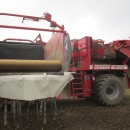 3862 Grimme SF150-60 UB XXL 2 Reihe Kartoffelroder mit Bunker