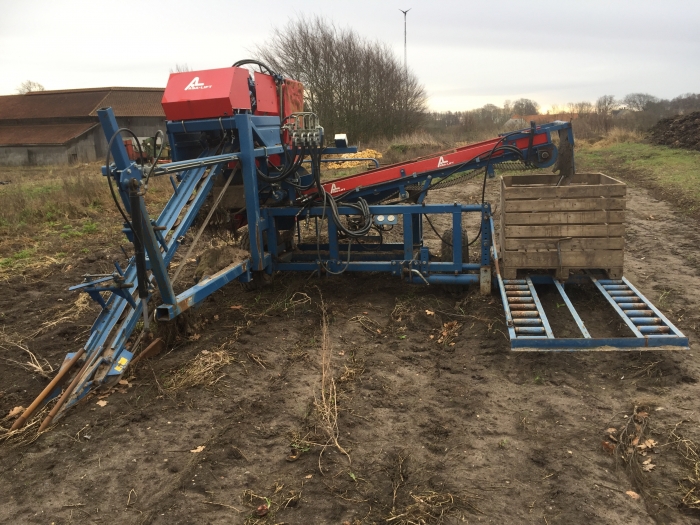 5197 Asa-Lift Combi 1000 carrot harvester