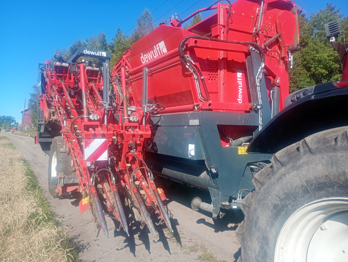 6041 Dewulf GBII carrot harvester