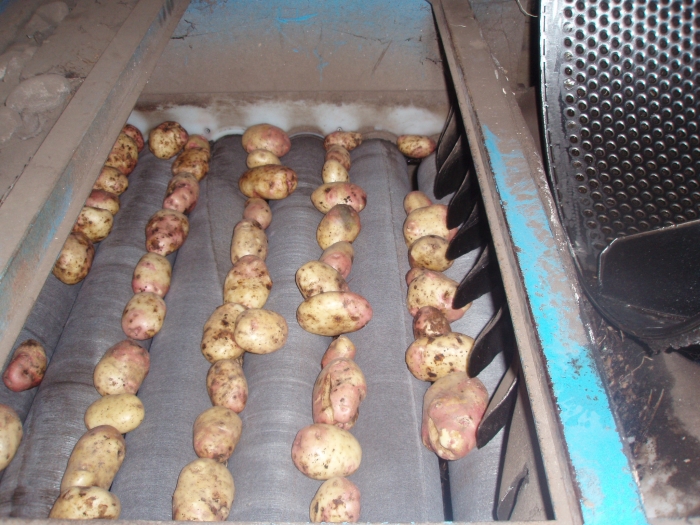 3413 EMVE potato washer with drier table