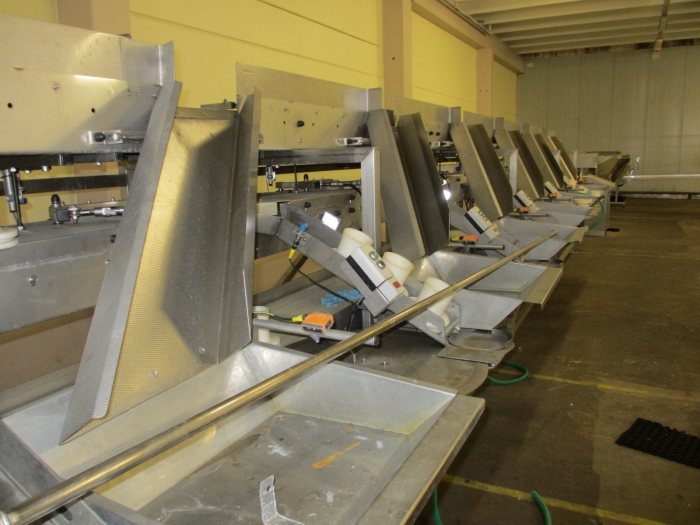 3538 Crea-Tech packaging line for small bags
