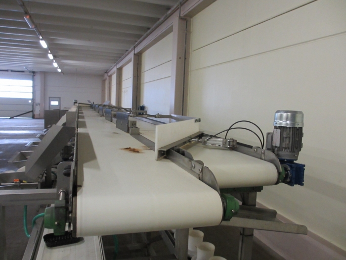 3538 Crea-Tech packaging line for small bags