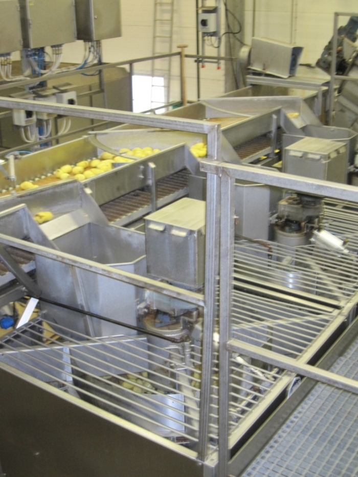 3662 Complete Potato Processing line