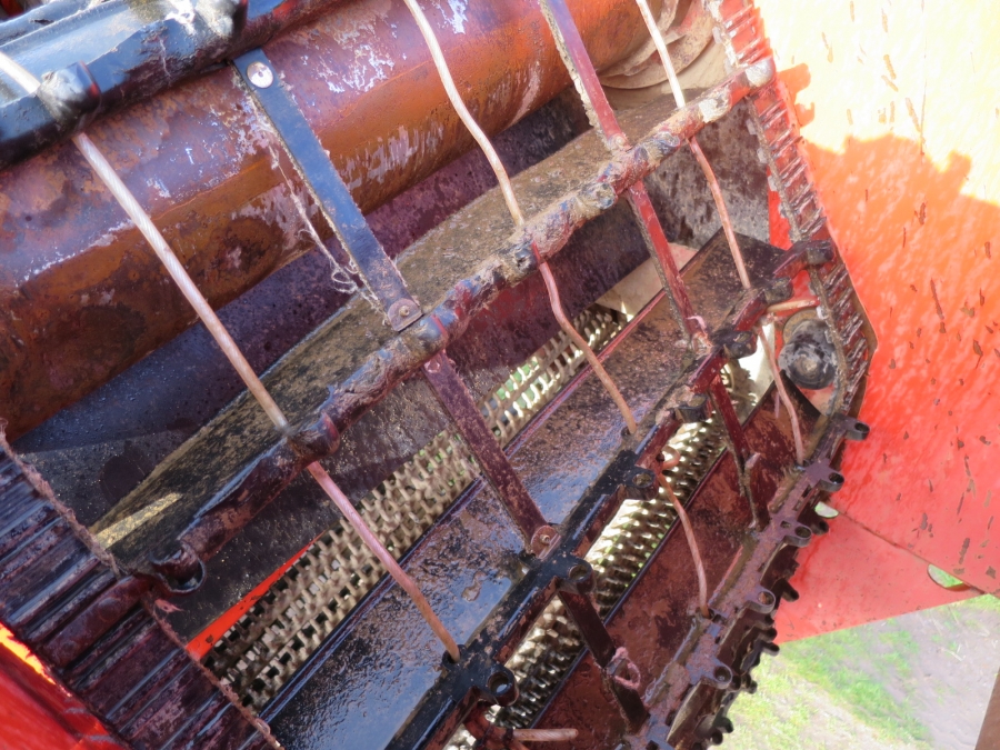 4135 Grimme SE75-30 potato harvester
