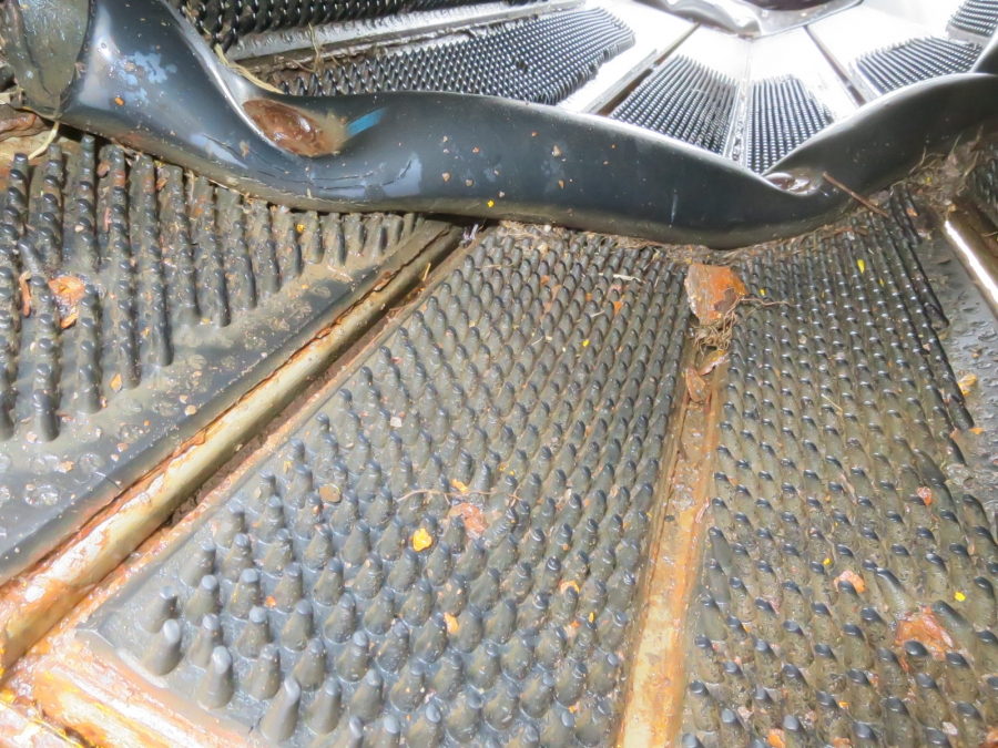 4147 Tong peal Kartoffelwaschmaschine mit Trockner