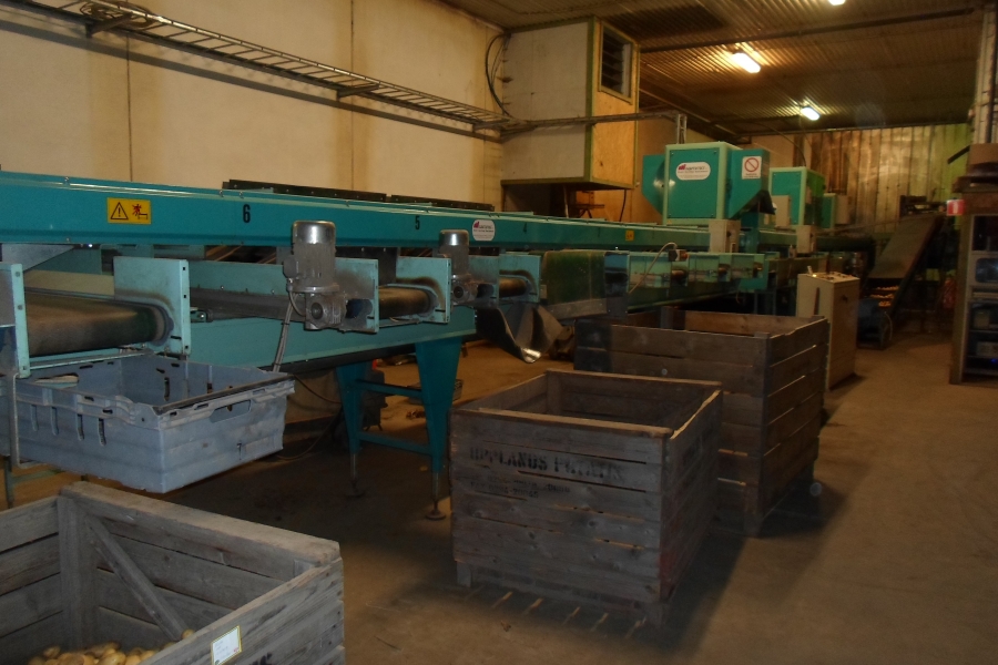 4203 / 4544 Sammo optical grader for apple, potatoes etc