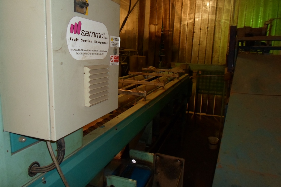 4203 / 4544 Sammo optical grader for apple, potatoes etc