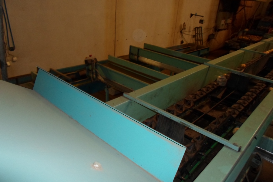 4203 / 4544 Sammo optical grader for apple, potatoes etc