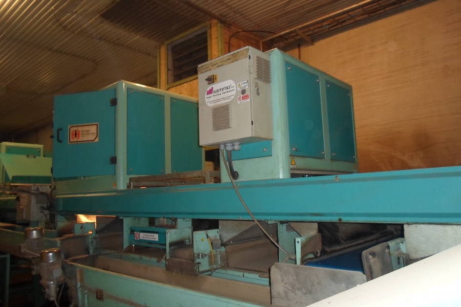 4203 / 4544 Sammo optical grader for apple, potatoes etc