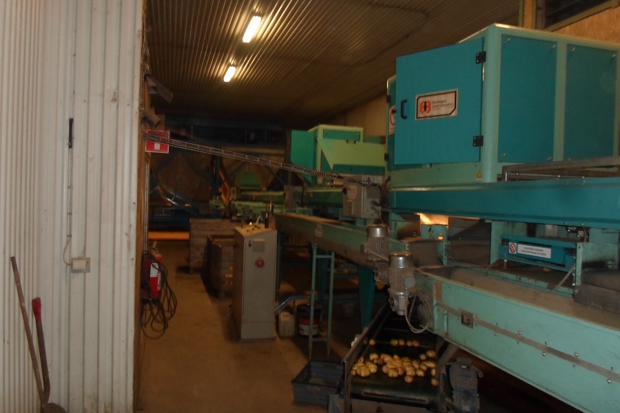 4203 / 4544 Sammo optical grader for apple, potatoes etc