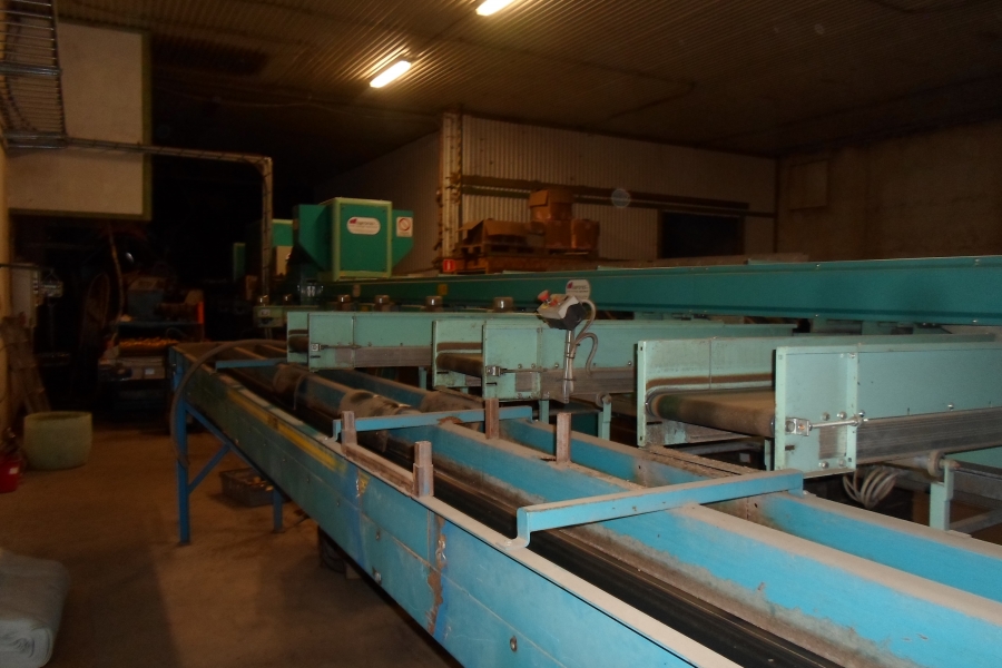 4203 / 4544 Sammo optical grader for apple, potatoes etc