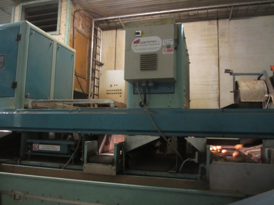 4203 / 4544 Sammo optical grader for apple, potatoes etc