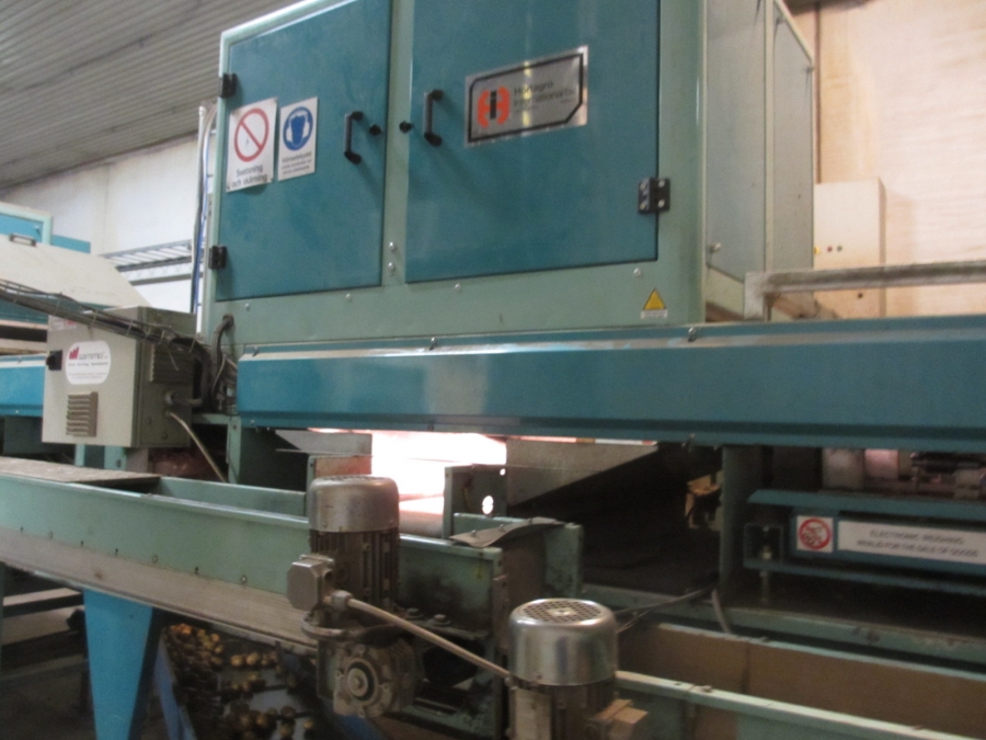 4203 / 4544 Sammo optical grader for apple, potatoes etc