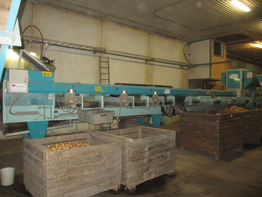 4203 / 4544 Sammo optical grader for apple, potatoes etc