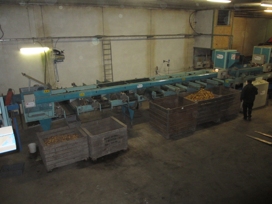 4203 / 4544 Sammo optical grader for apple, potatoes etc