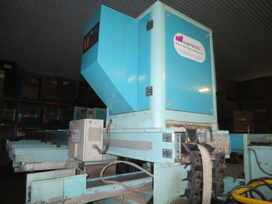 4203 / 4544 Sammo optical grader for apple, potatoes etc