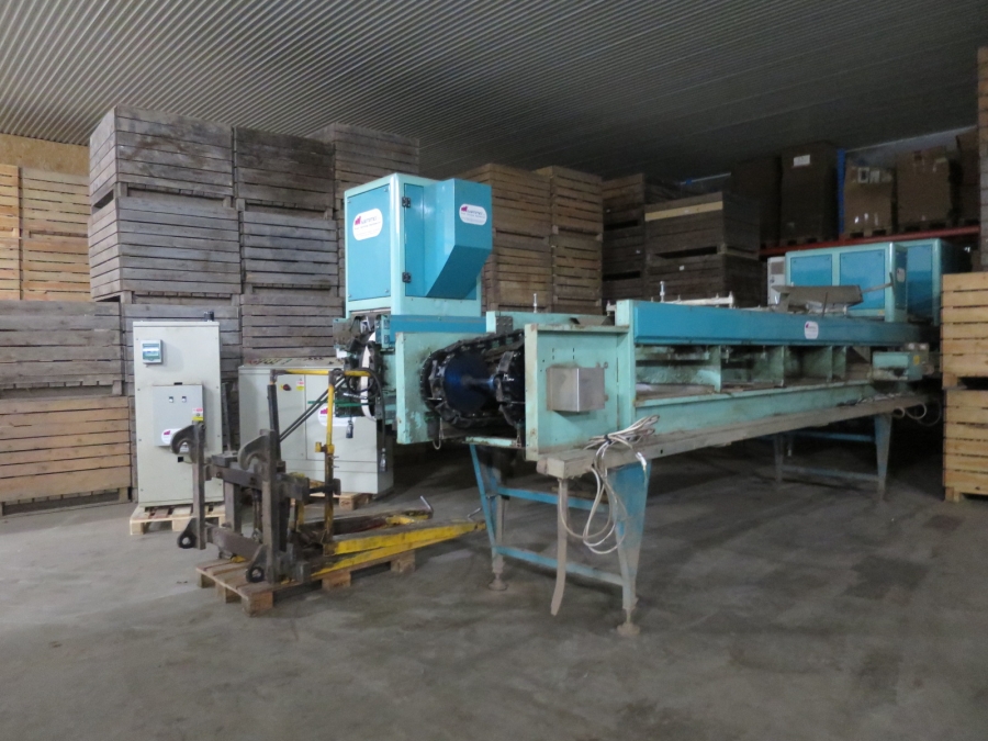 4203 / 4544 Sammo optical grader for apple, potatoes etc
