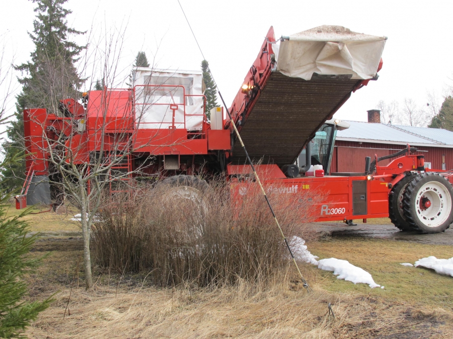 4290 DEWULF RQ3060 potatisupptagare