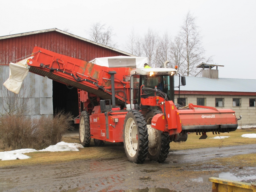 4290 DEWULF RQ3060 potatisupptagare