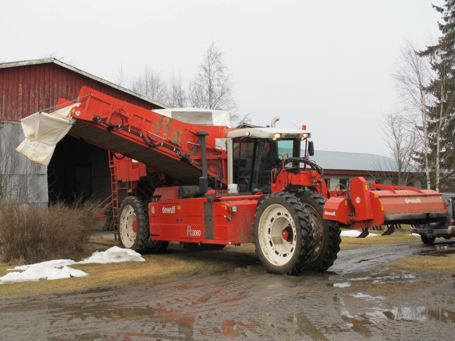 4290 DEWULF RQ3060 potatisupptagare