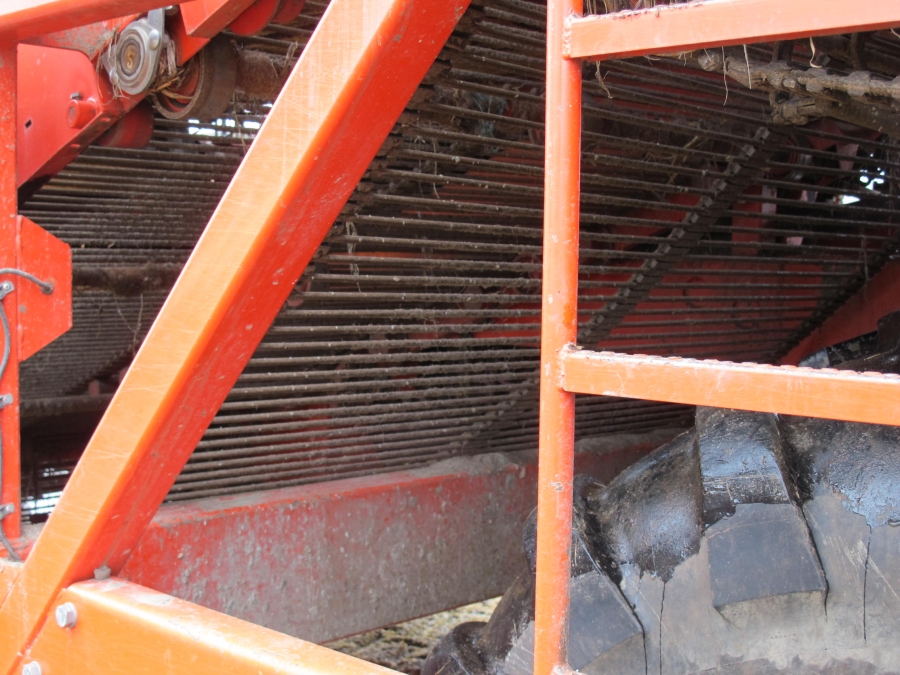 4290 DEWULF RQ3060 potatisupptagare