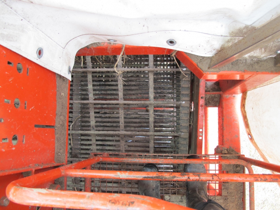4290 DEWULF RQ3060 potatisupptagare