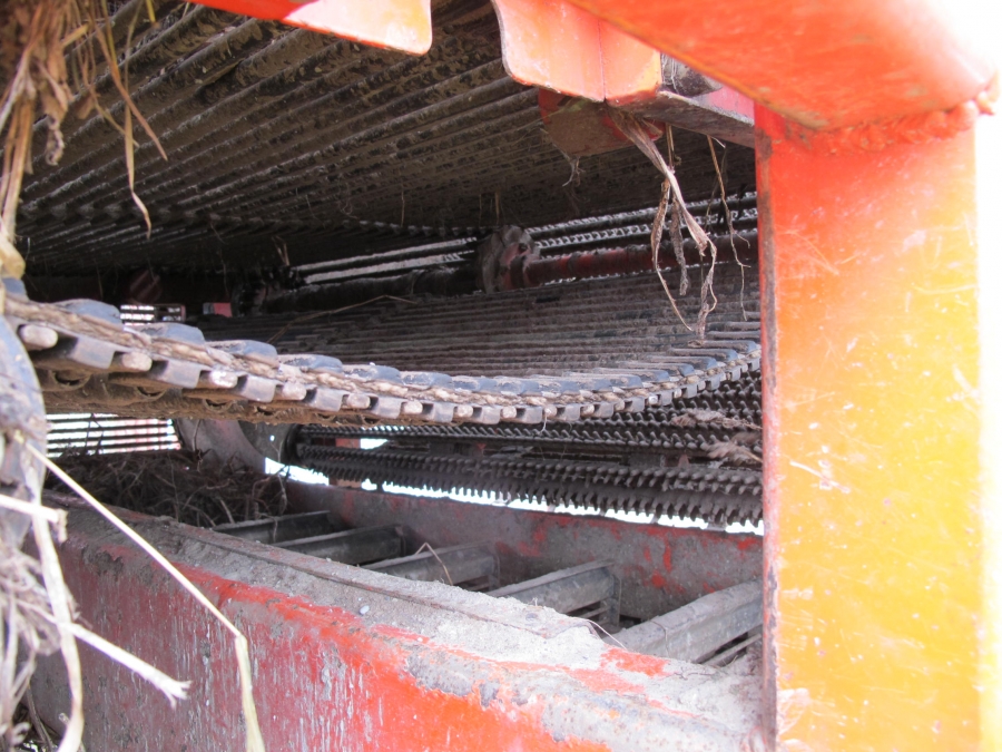 4290 DEWULF RQ3060 potatisupptagare