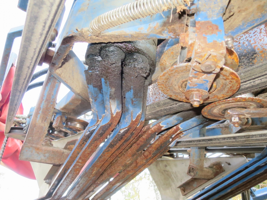 4350 Asa-Lift Möhrenroder T-200E 2 Reihe mit Elevator