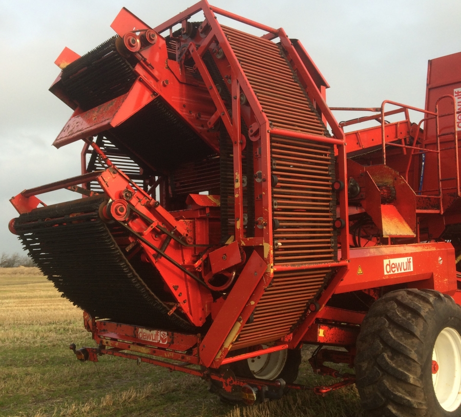 4360 Dewulf RDT 952 2 row potato harvester with bunker