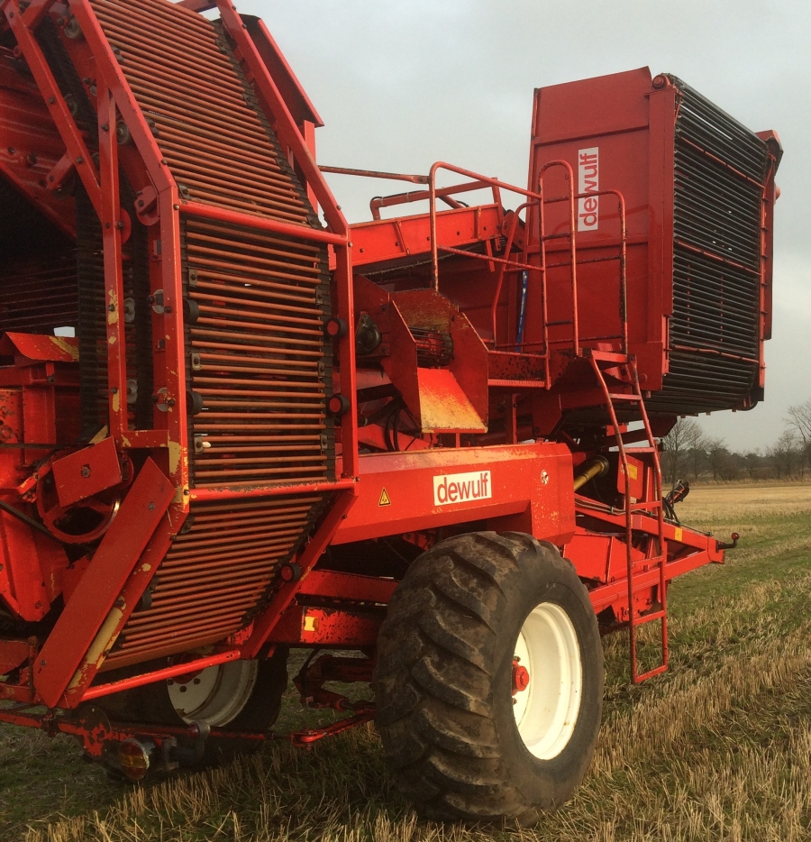 4360 Dewulf RDT 952 2 row potato harvester with bunker