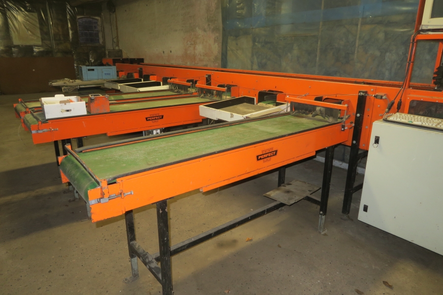 4387 Perfect apple grading line
