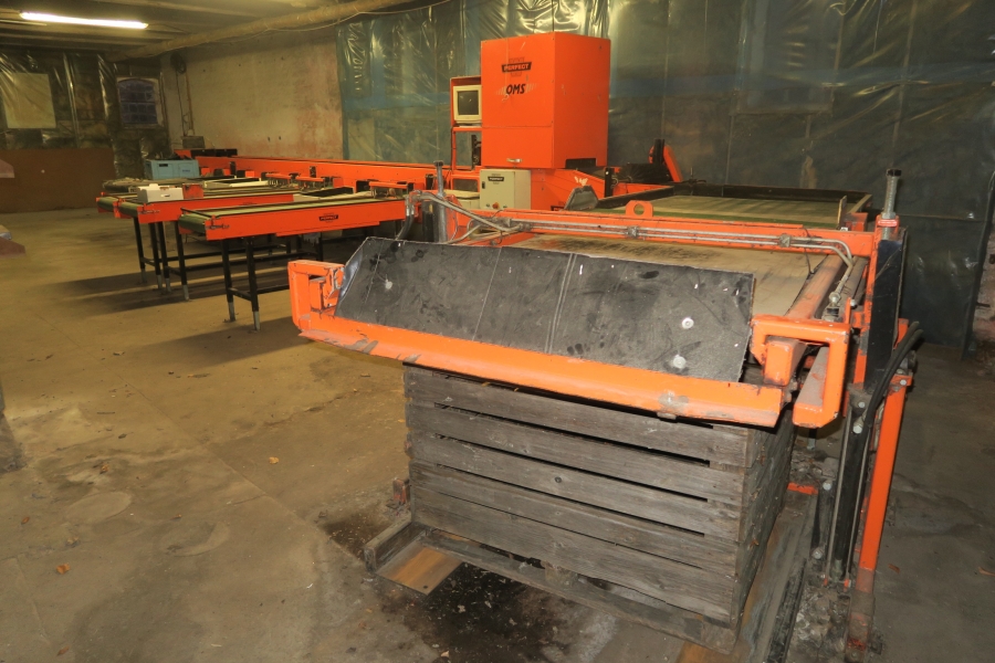 4387 Perfect apple grading line