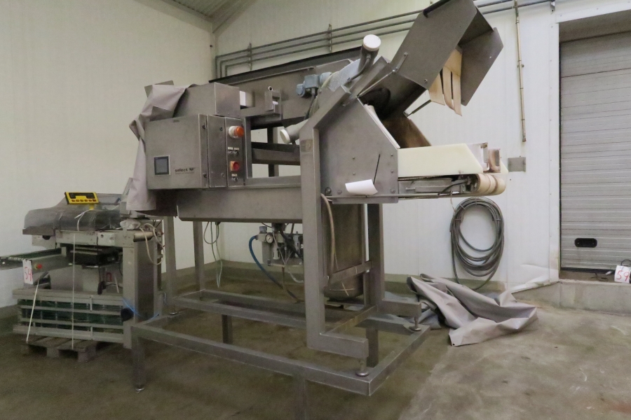 4399 Agroselector 6T-3 optisk potatissorterare
