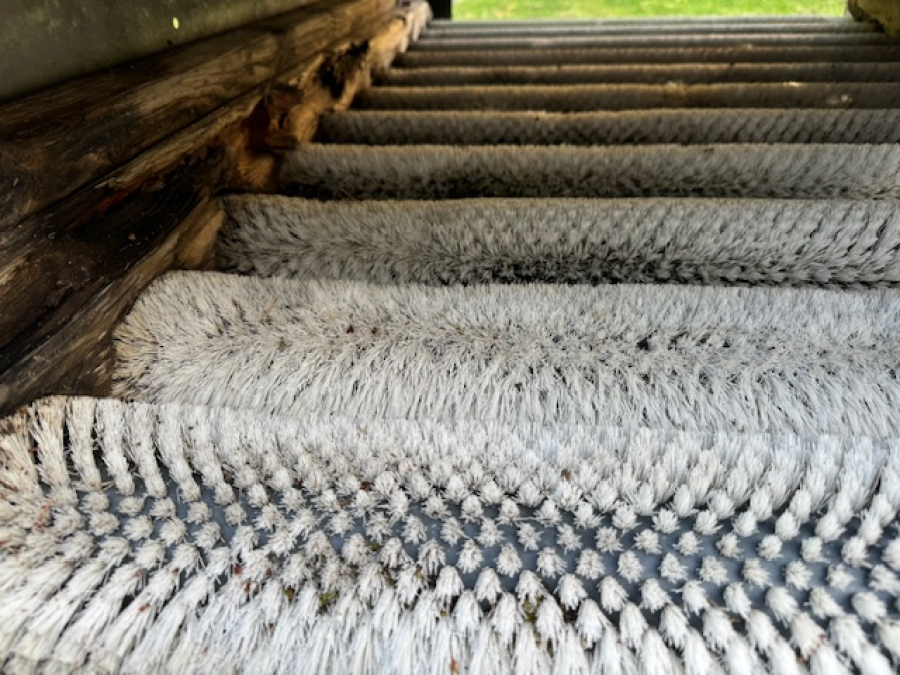 4413 EMVE borsttvätt 1000mm x12 rullar