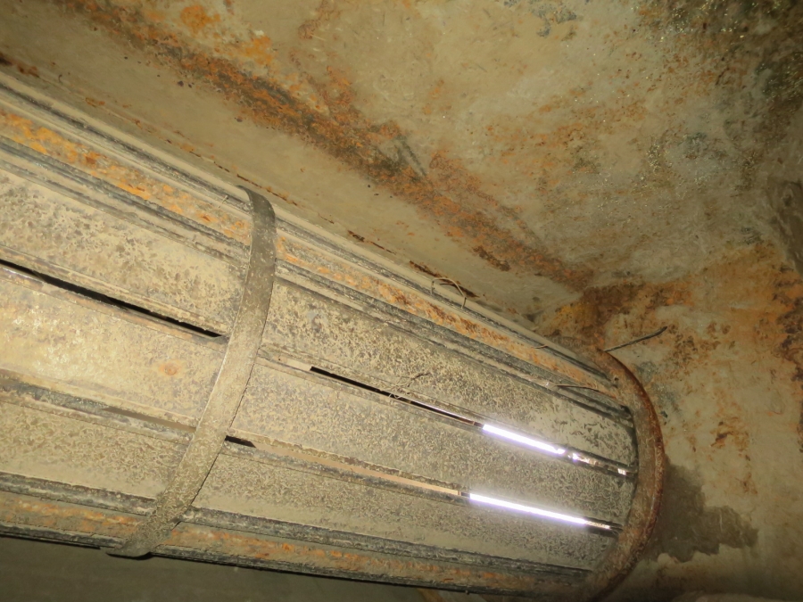 4418 TONG PEAL Waschlinie für Kartoffel und Gemüse