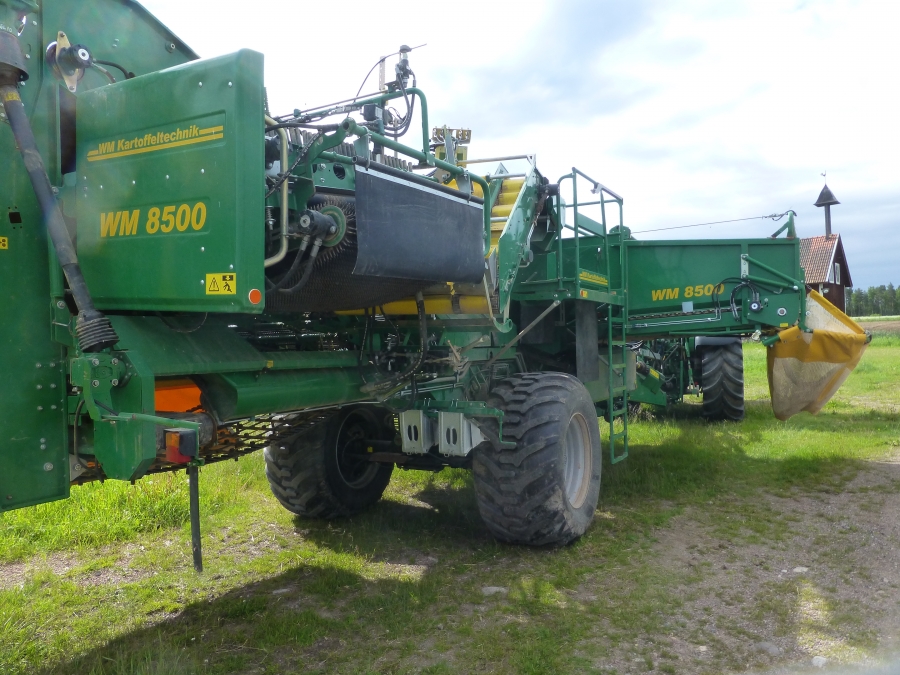 4592 Wuhlmaus WM 8500 2 row potato harvester