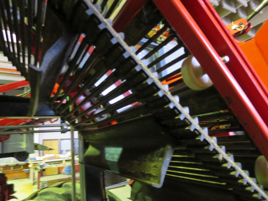 4601 / 4557 Dewulf GBC carrot harvester 1 row with bunker