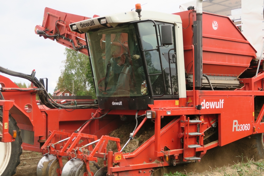 4603  Dewulf RQ3060 2 rad självgående potatisupptagare