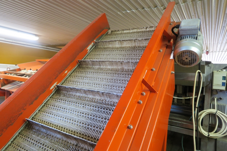 4646 Komplett Tvätt och packlinje till morötter  