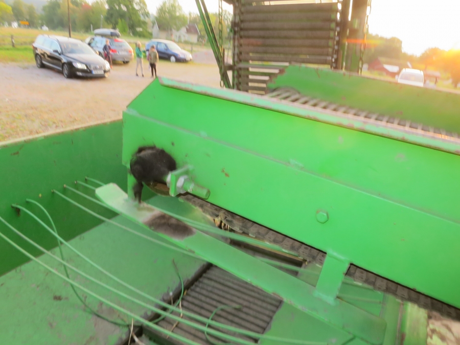 4694 Ekengards Kartoffelroder 1 Reihe
