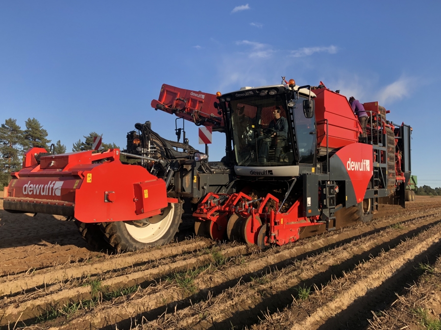 4702 Dewulf RQA3060 potato harvester selfpropelled