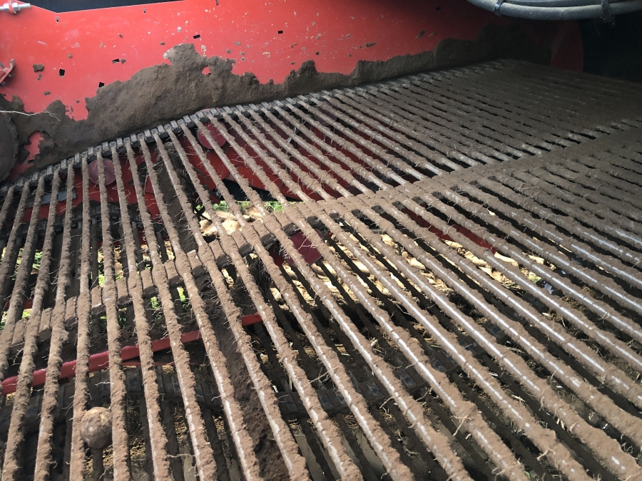 4702 Dewulf RQA3060 potato harvester selfpropelled
