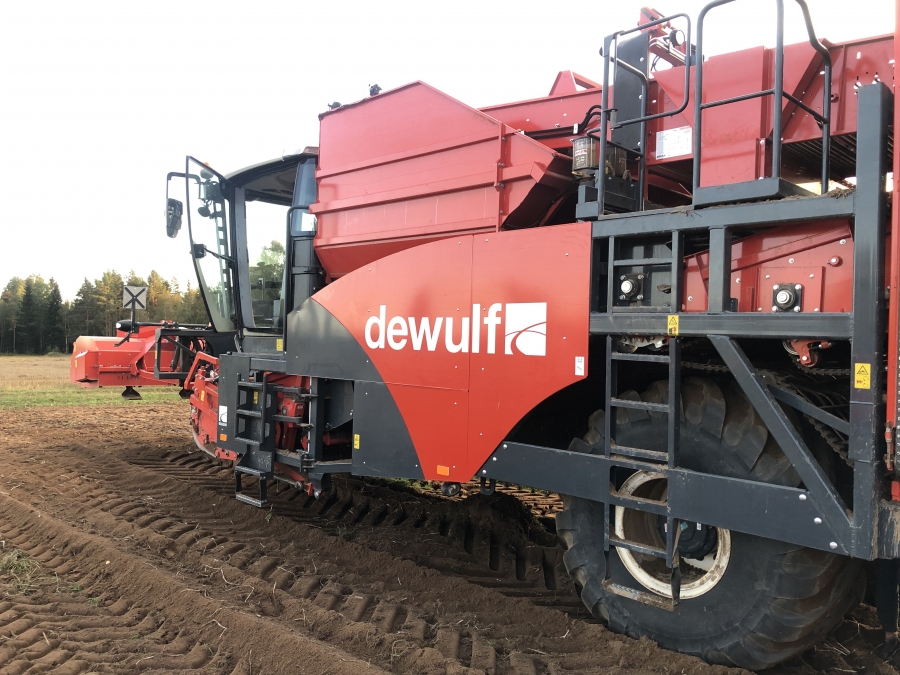 4702 Dewulf RQA3060 potato harvester selfpropelled