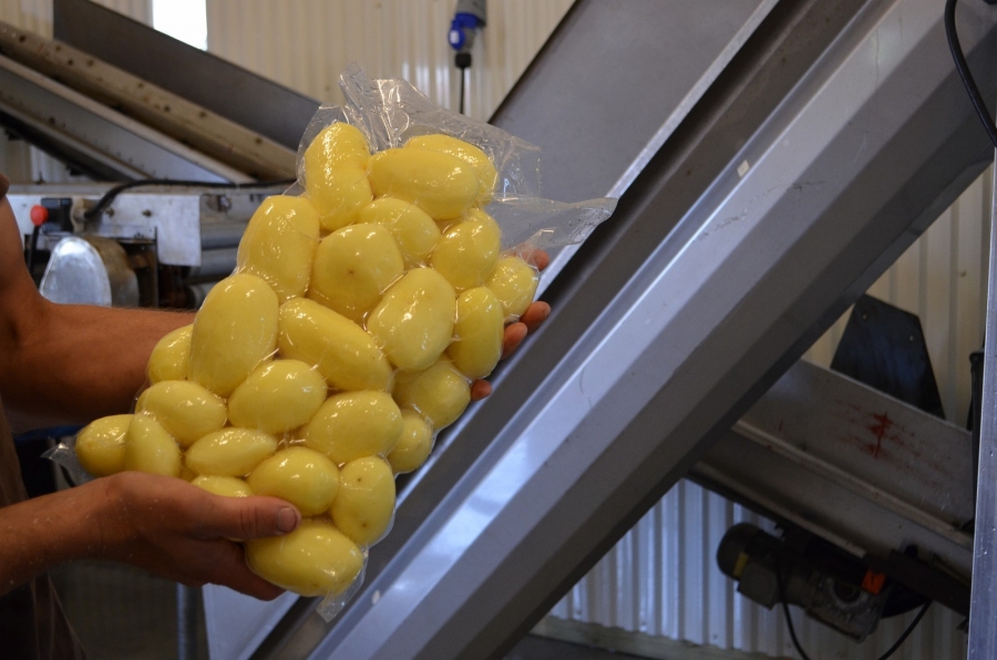 4891 PPM Skalningslinje för potatis