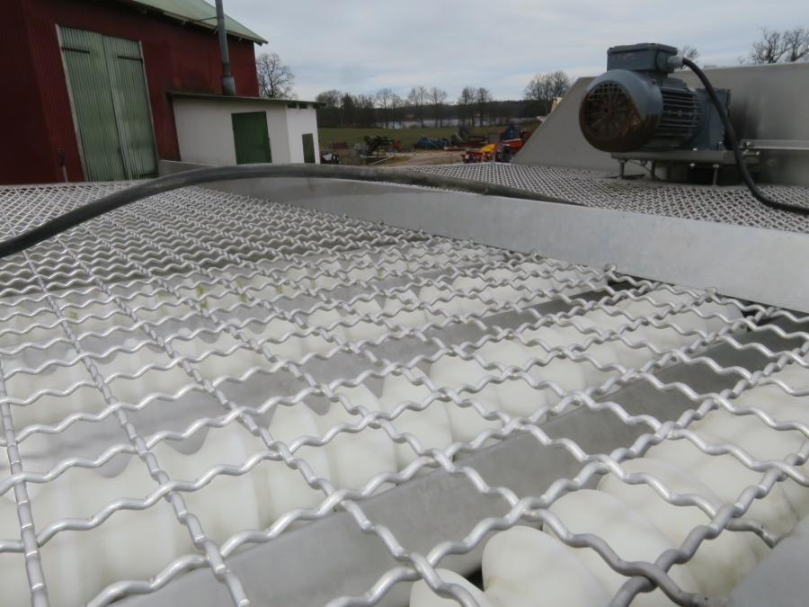 4919 Limas roller grader for peeled potatoes