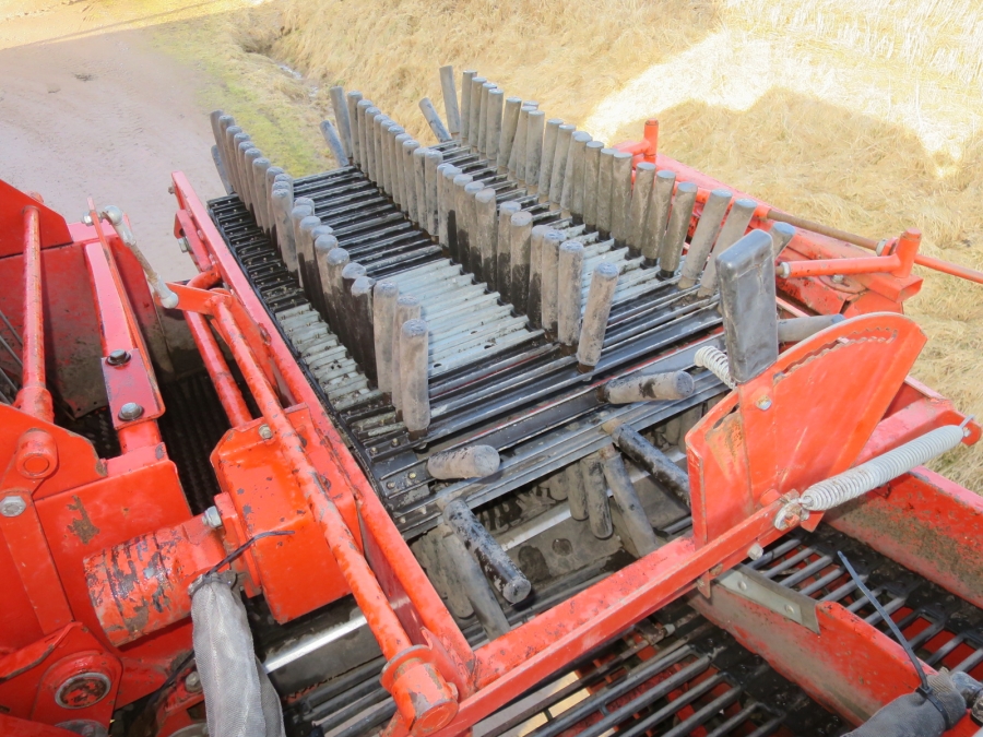 5003 Grimme SE70-20 potato harvester